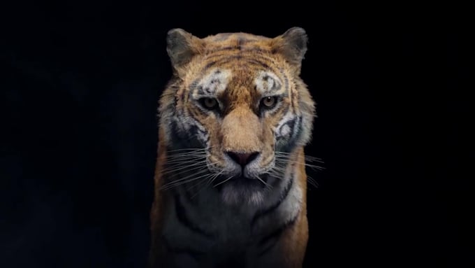 do 3d animation, 3d animal modeling, rigging and kids animation video