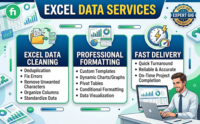 clean, format and organize your excel or CSV data professionally