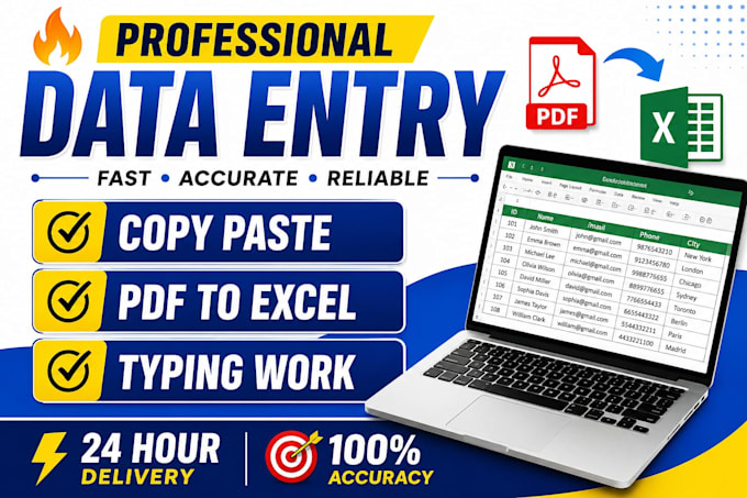 do fast data entry, copy paste ,PDF to word and excel