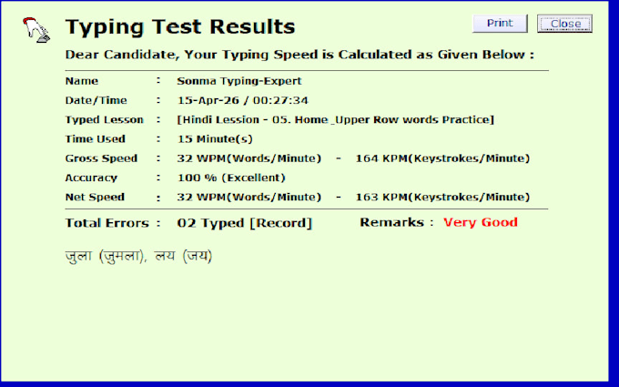 provide professional hindi and english typing services