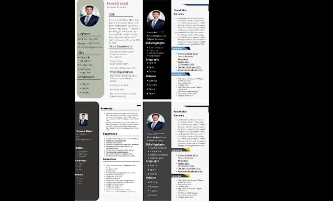 design a professional CV