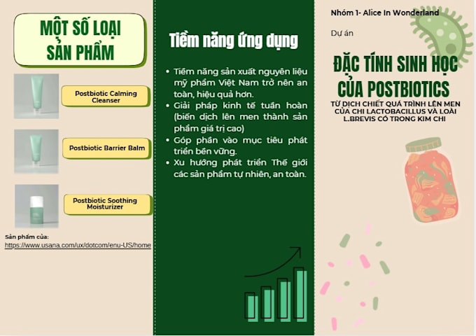 design a canva presentation