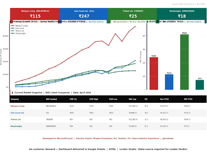 convert excel data into dashboard and professional report