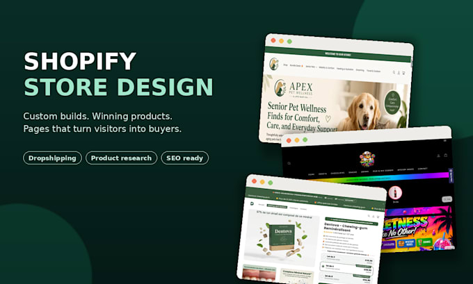 do professional shopify store design and setup
