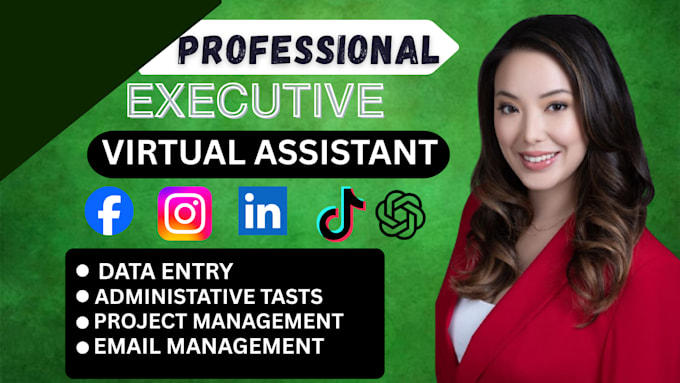 Be your virtual assistant for data entry, admin support and email ...