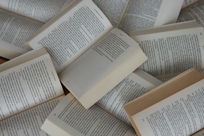 edit your novel with developmental feedback