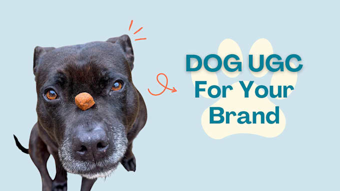 create dog ugc for your pet brands products