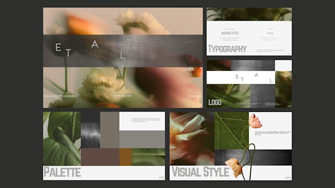 curate complete branding guidelines and visual identity