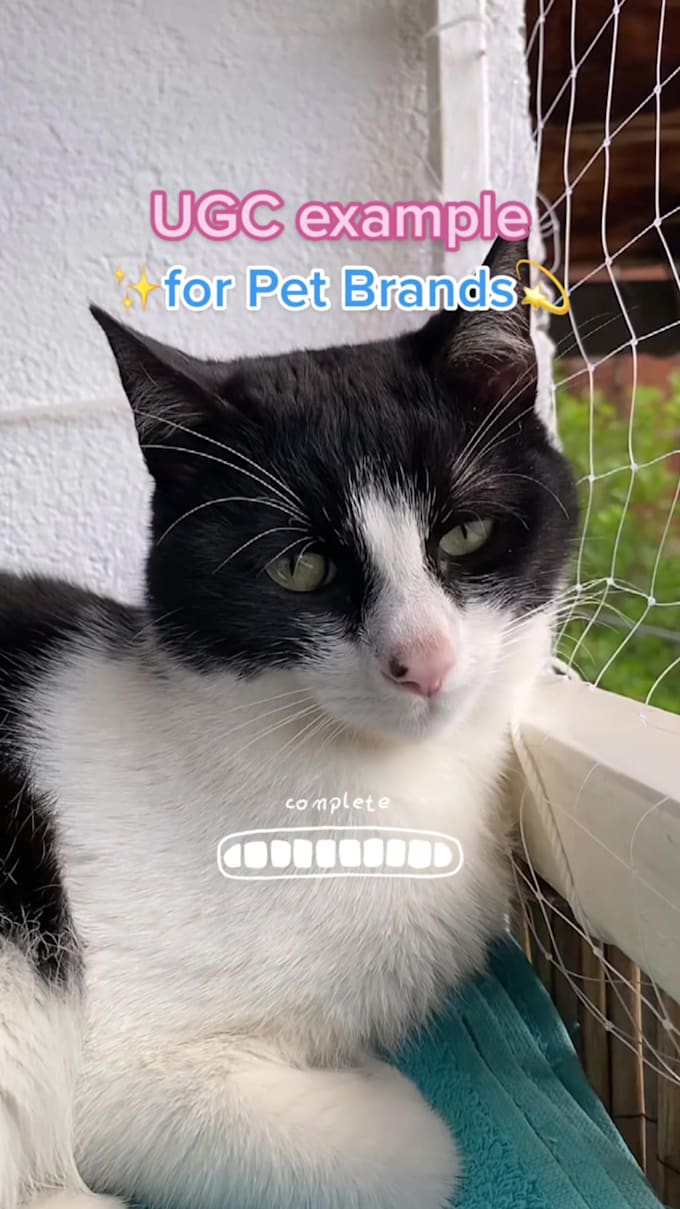 create high converting ugc pet videos for social media ads