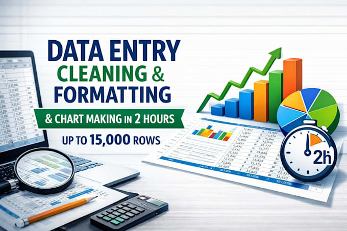 data entry cleaning formatting charts 15000 rows 2 hours