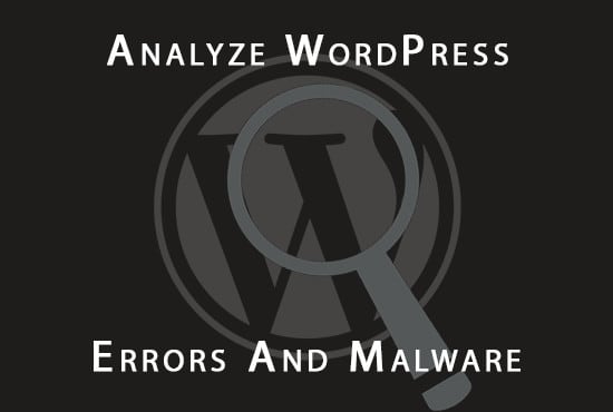 thoroughly analyze wordpress website