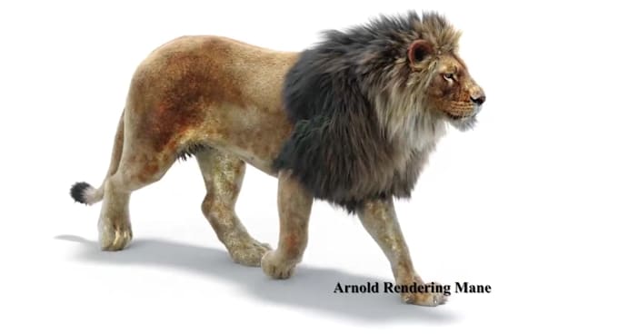 create realistic cgi animal animation vfx and compositing