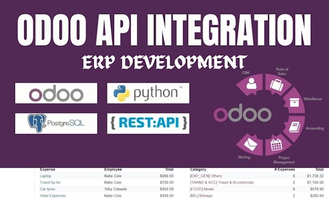 implement odoo API integration maintenance full stack odoo erp development