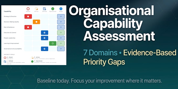 assess your capabilities, identify key gaps, and recommend priority action