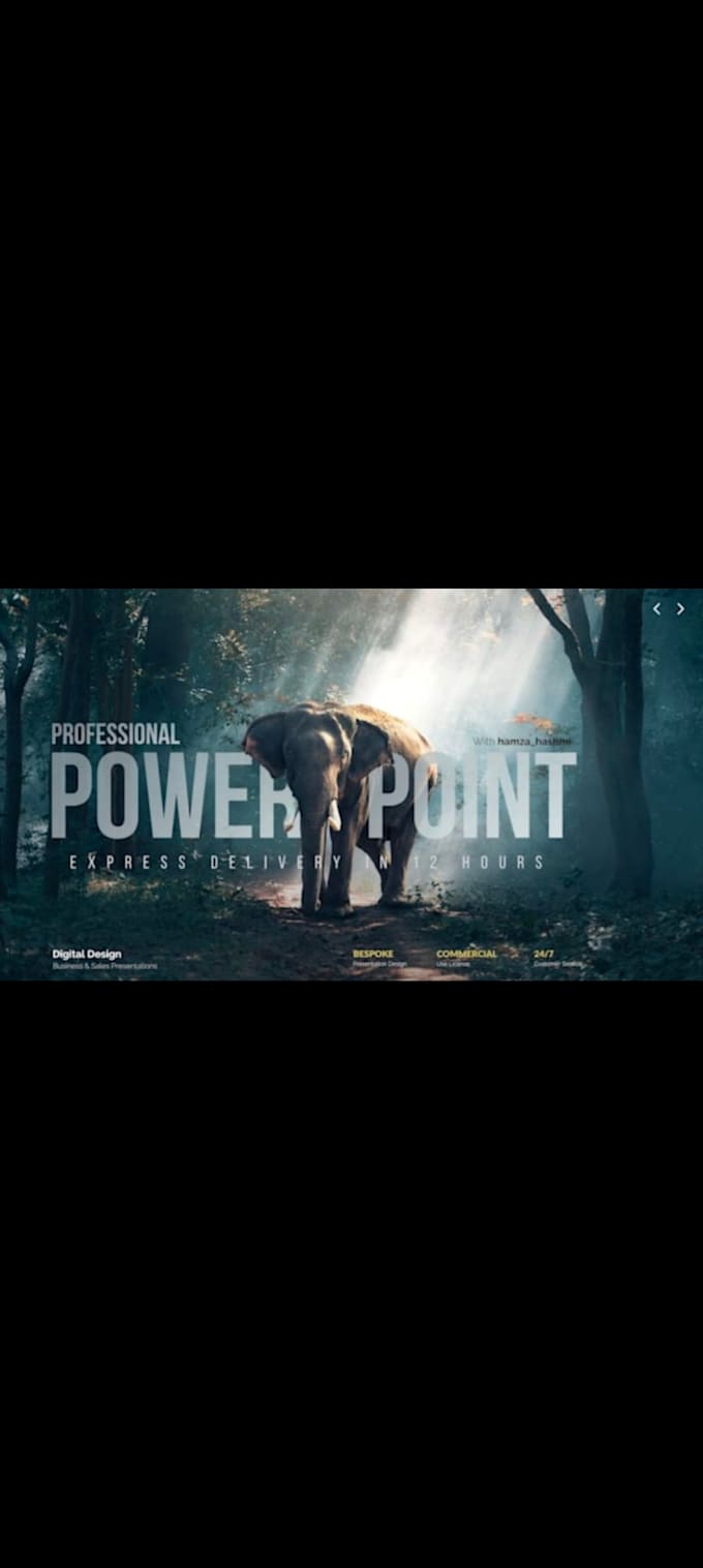 make professional powerpoint presentations for projects
