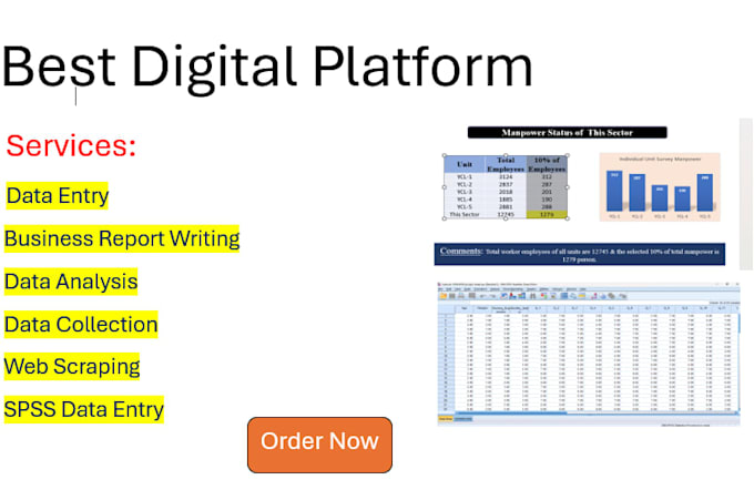 do data entry, data analysis, report writing, web scraping, crating pptx
