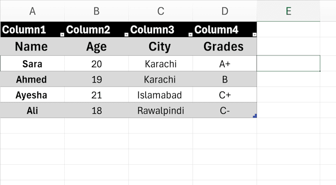 data entry and excel spreadsheet work accurately