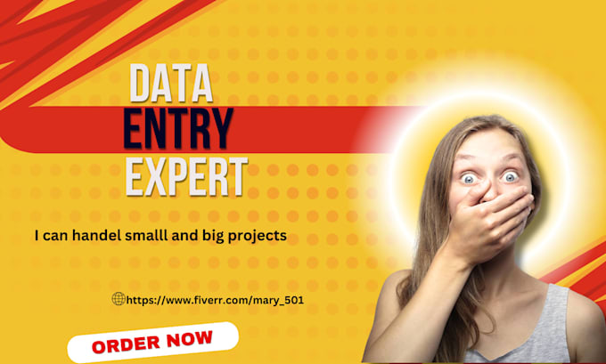 professional and fastest excel data entry and copy paste services