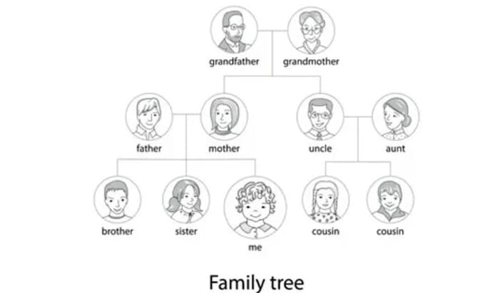 Do family tree genealogy flow chart family illustration by Aimee_warren ...