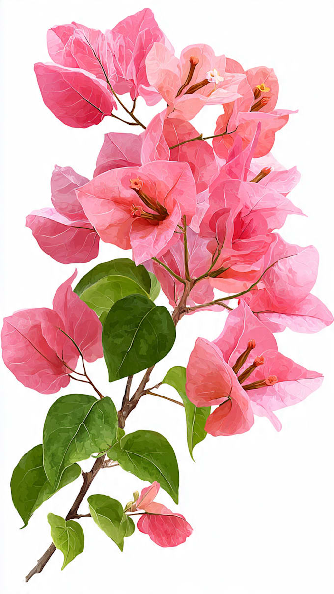 remove background from image transparent png