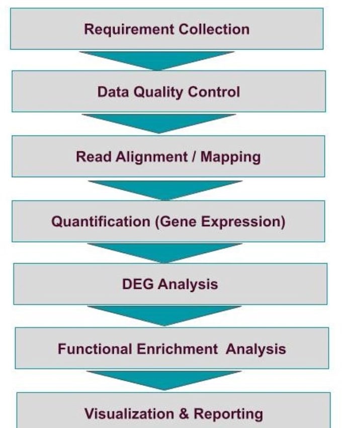 do rna seq data analysis