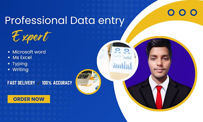 do professional data entry, ms word, excel, copy typing