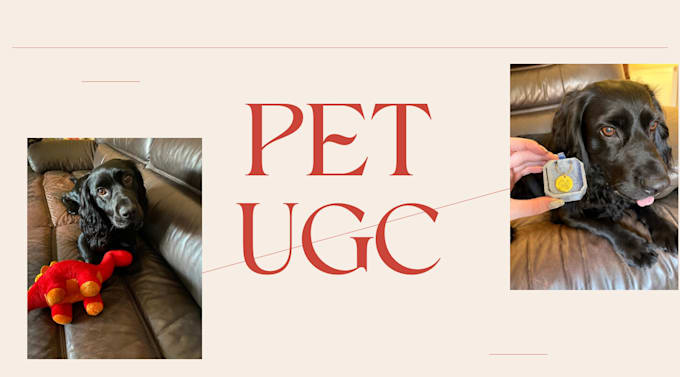 do pet clips and pet pov