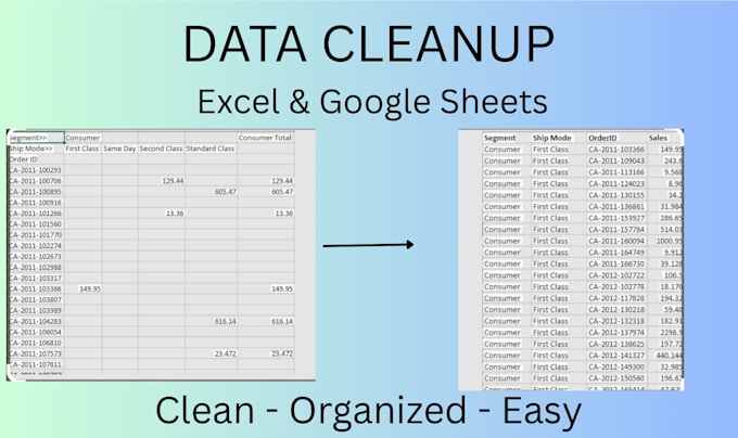 clean, format, and organize your excel or google sheets data
