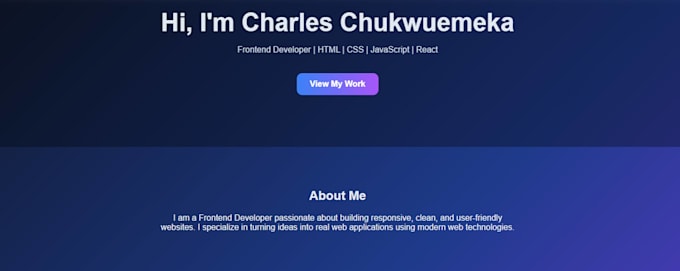 fix HTML CSS javascript bugs and responsive website issues