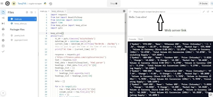 create custom python automation script, bot, or web scraper