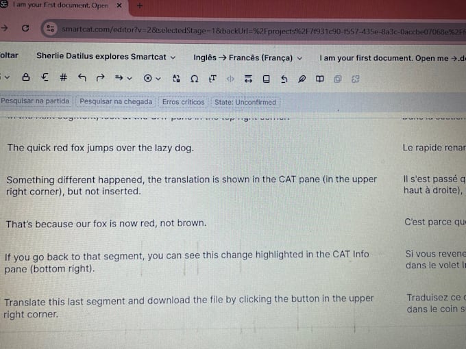 iwill translate your documents