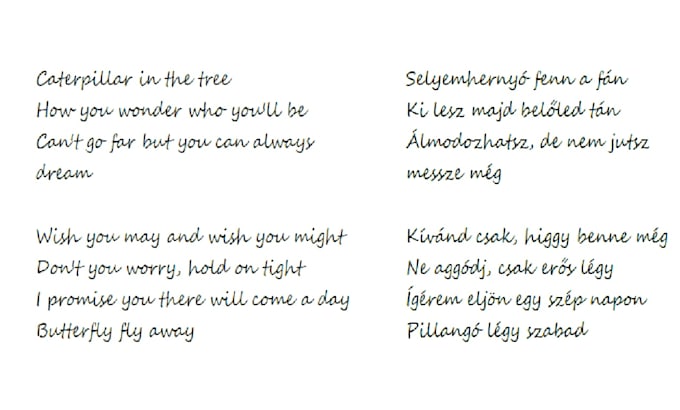 translate messages, poems, short novels etc