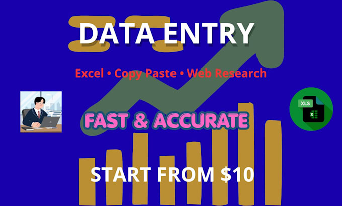 accurate data entry and excel tasks