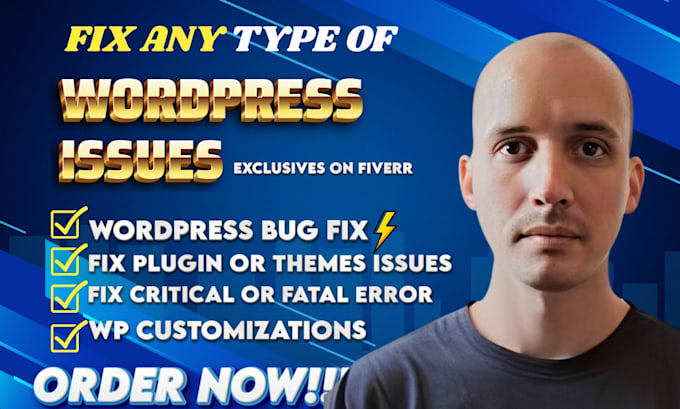 fix wordpress issues, fix wordpress errors, bugs, fix wordpress website