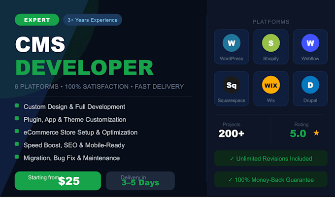 build a professional cms website on wordpress, shopify, or webflow