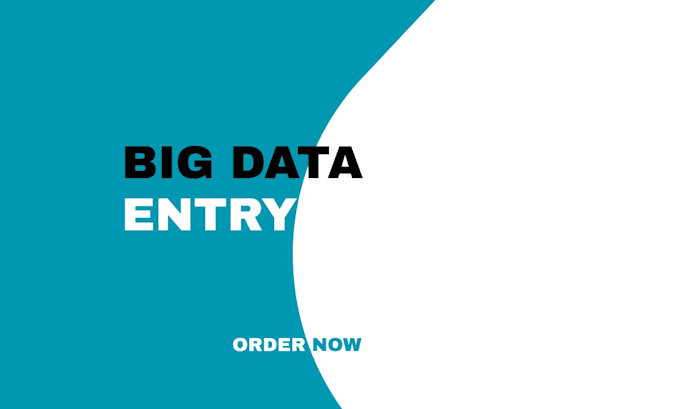do all big data entry project