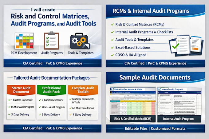 create professional rcms and risk based internal audit programs