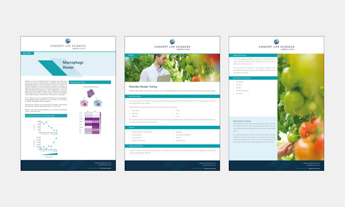 design a professional report or whitepaper