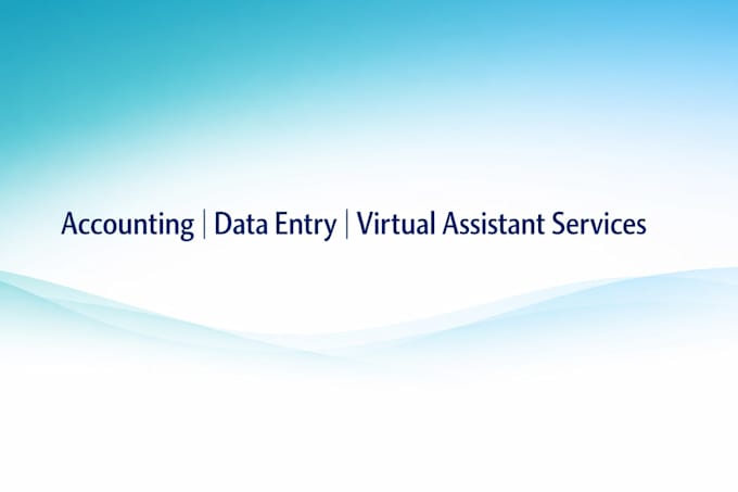 provide accounting, bookkeeping, data entry and virtual assistant services remot