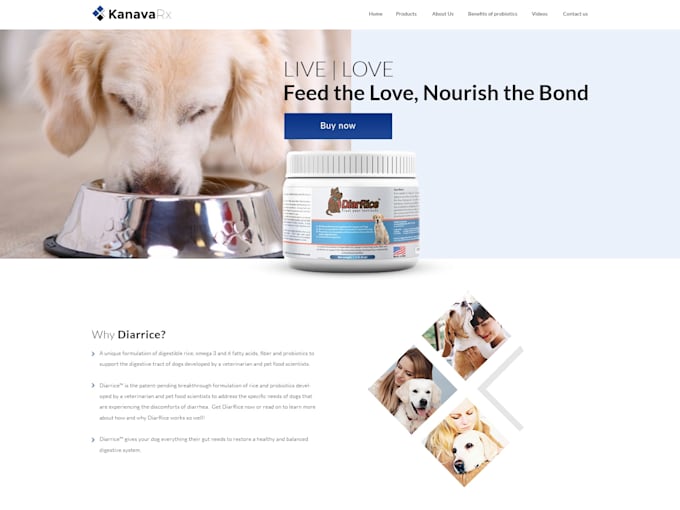 do logo design and custom branding solutions