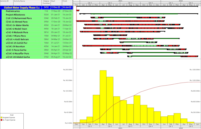 create a professional primavera p6 project schedule