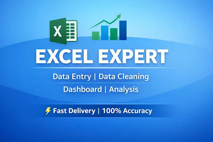 be your excel expert for data entry, formulas and dashboards