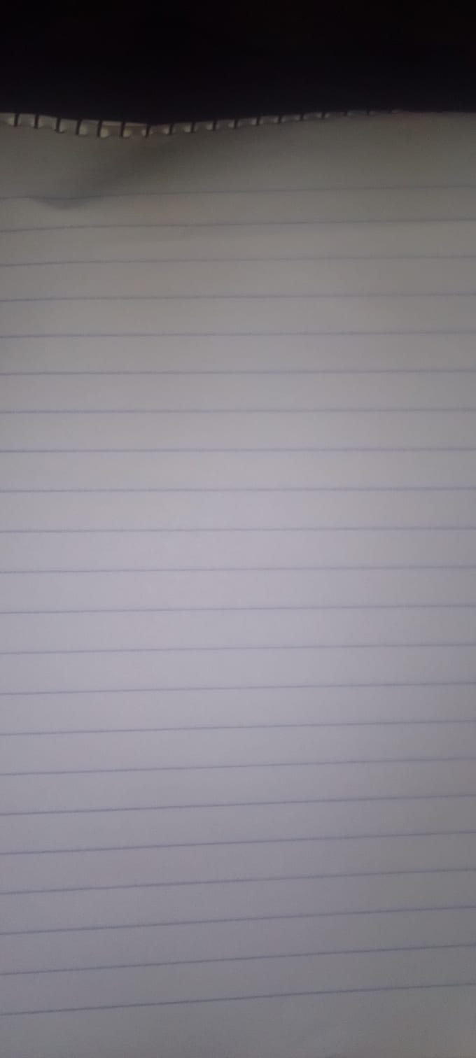 provide proffessional article writing and typing services