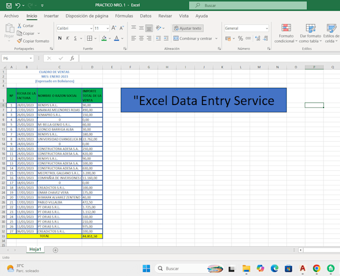 excel data organization and data entry