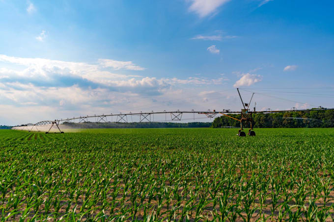 improve crop yield, save water with a smart irrigation guide
