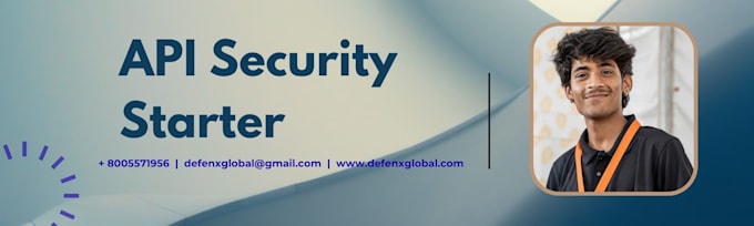 perform professional API security testing and manual audit
