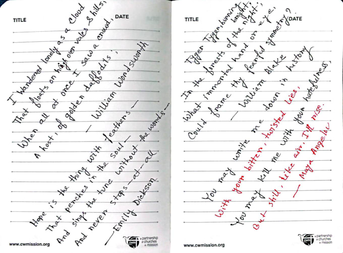 provide clean, neat handwriting for any documents