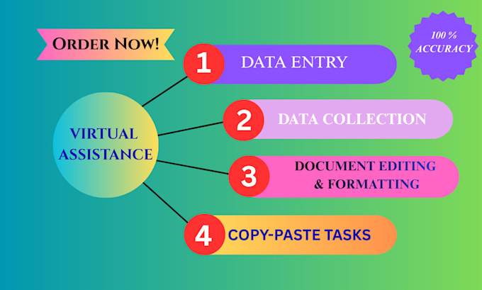 do all the professional virtual assistance for data entry