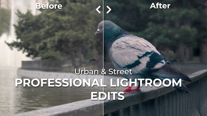 do street photography lightroom editing and colorgrading