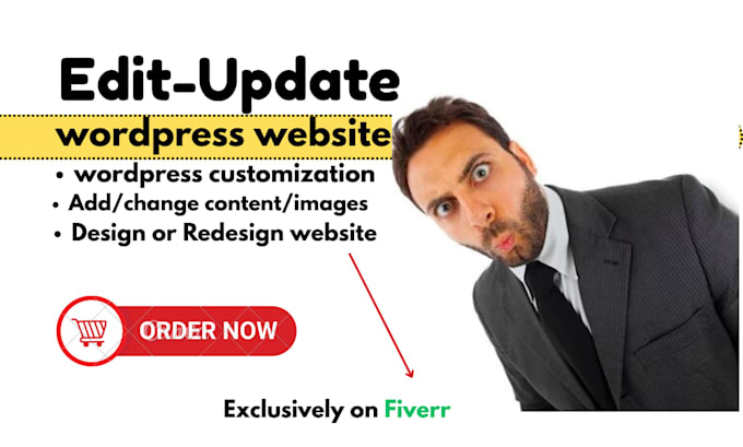 professional edit wordpress website,update wordpress website